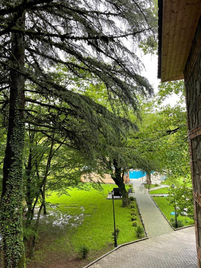 Отель Wald Лагодехи Экстерьер фото