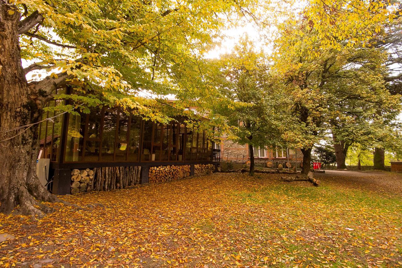 Отель Wald Лагодехи Экстерьер фото